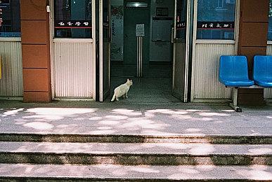 好评对战游戏续篇《螃蟹大战2》发布实机演示视频