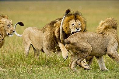 《家园3》提前高级体验已上线 新预告片展示